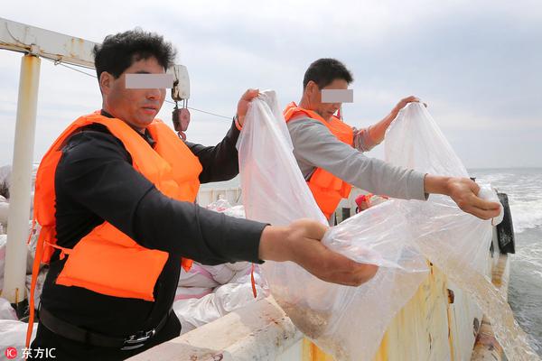 废土3锻炼磁带录音带在什么位置