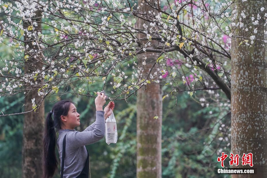 太吾绘卷世界进度受什么影响