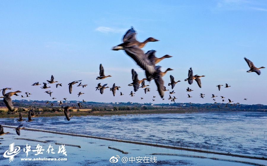 战地2042怎么提升帧数