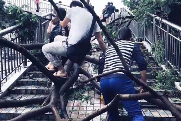 红至日2医疗兵能量不够怎么办