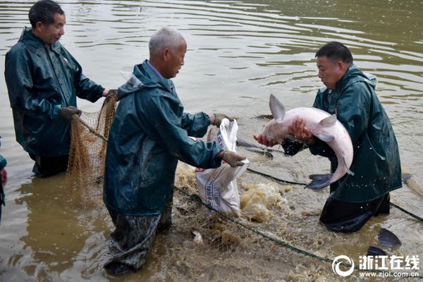 Valheim英灵神殿鹿怎么打